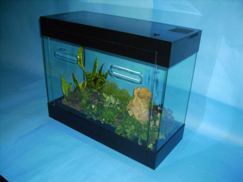 TR-68P黑色款常綠淨化耐久景觀