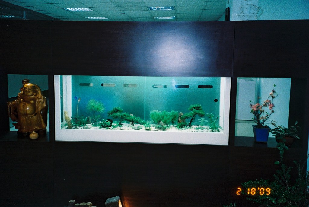 客製化-松柏景觀