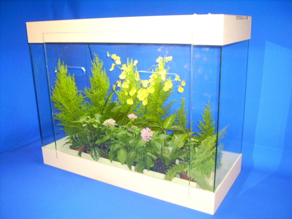 TR-89P文心蘭景觀