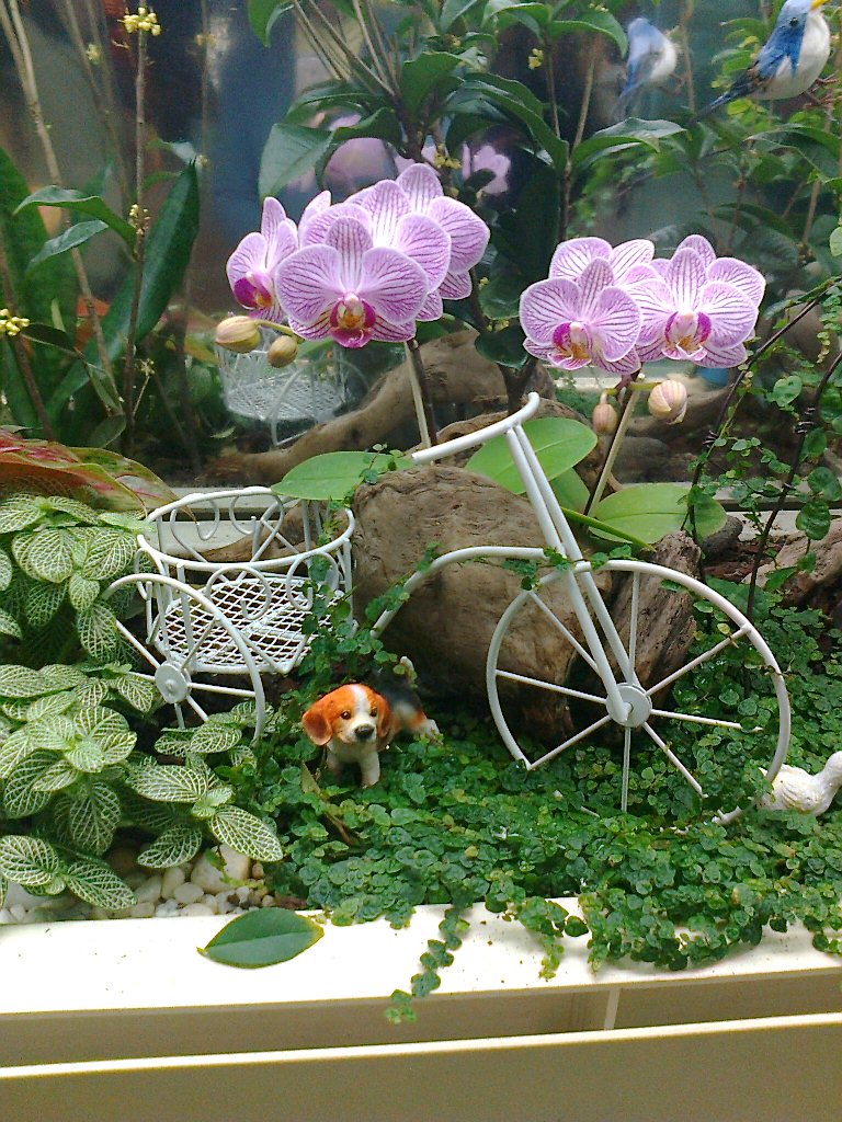 客製化-台北車站可愛蘭花景觀