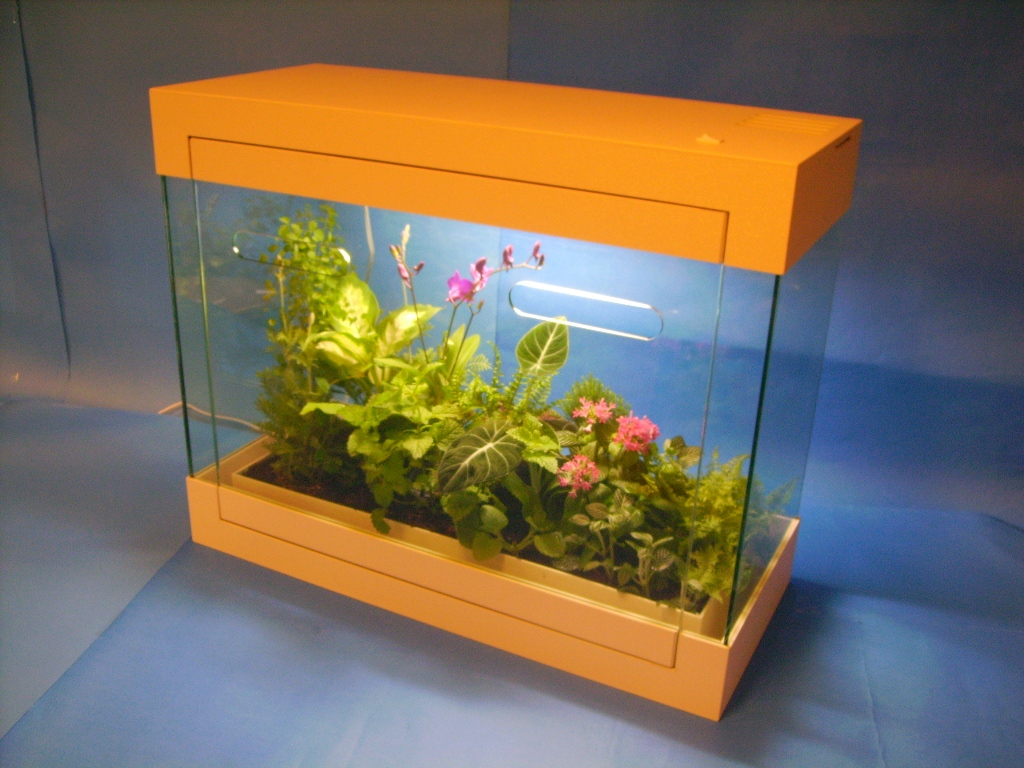 TR-68P石斛蘭花草景觀