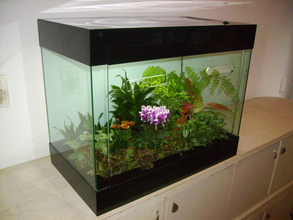 TR-68P仙客來花草淨化景觀