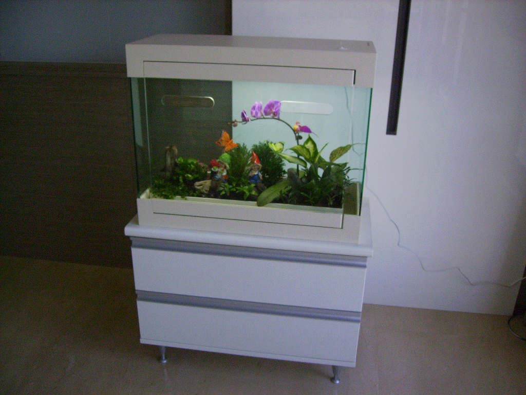 TR-68P室內蝴蝶蘭淨化景觀