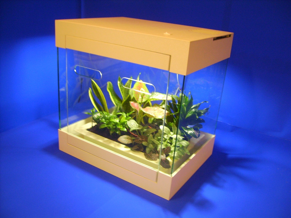 ST-50P淨化空氣常綠虎尾蘭景觀