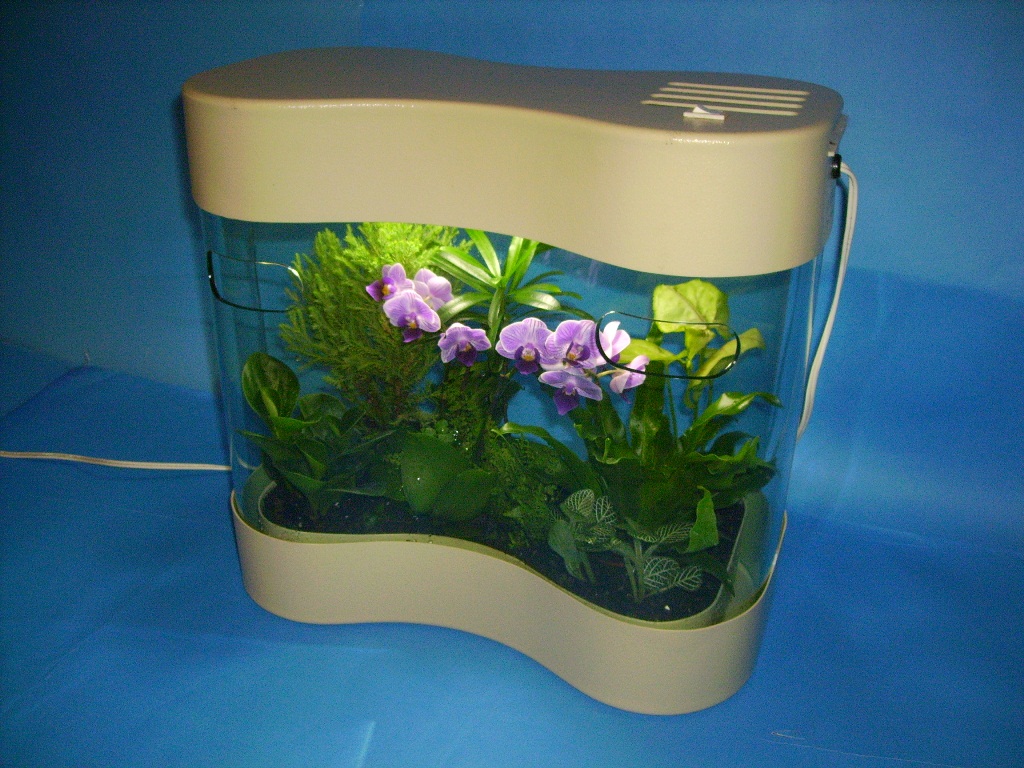 ST-38P迷你蘭花淨化景觀