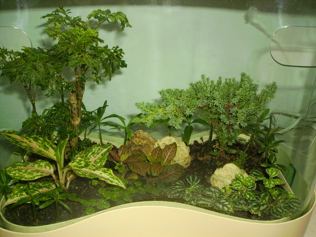 ST-38P松柏花草混搭