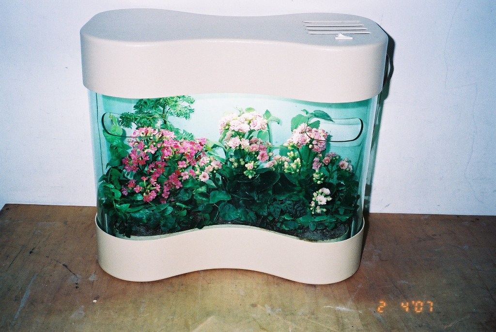 ST-38P長壽花淨化景觀