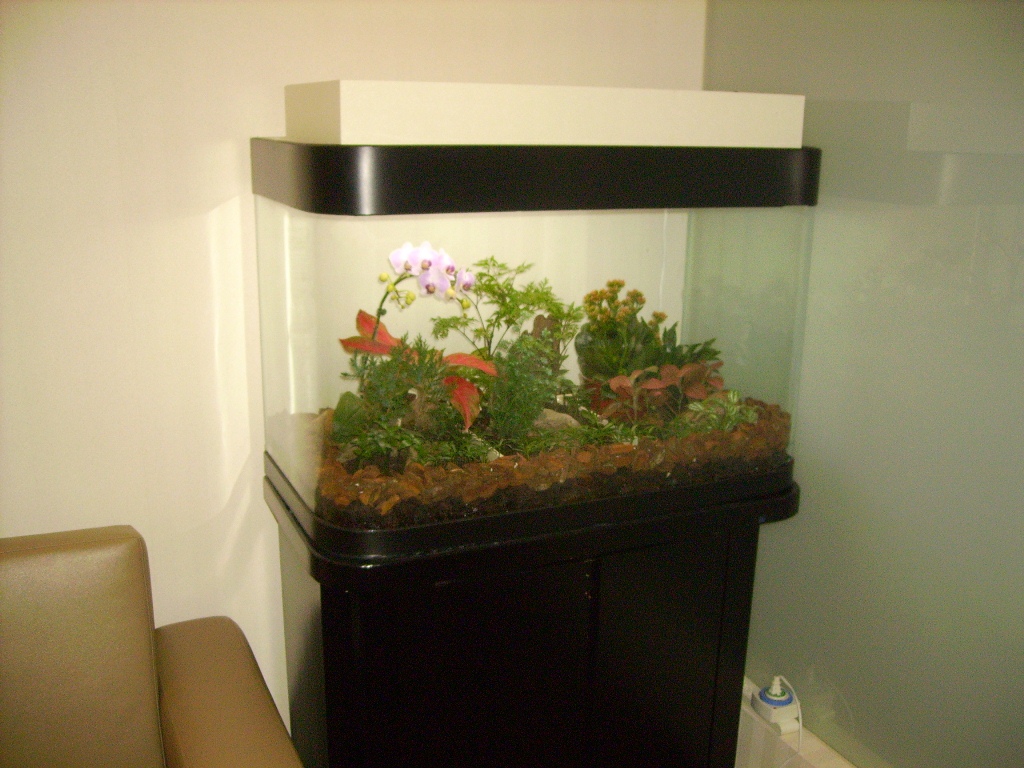 3.5尺魚缸改造